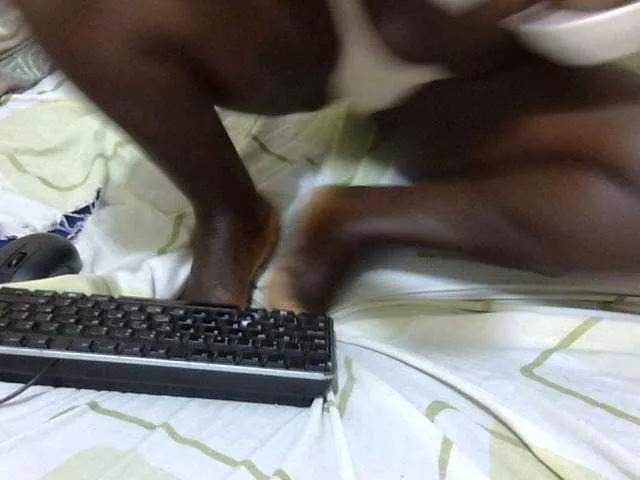 Sweetnanah on BongaCams 