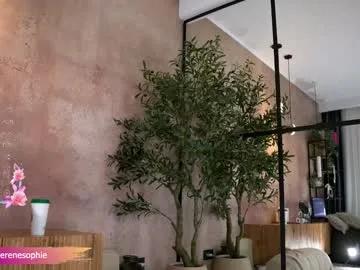 serene_sophiex on Chaturbate 