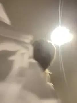 Go_Meg — Shut it down