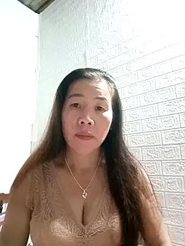 tabby-cat11 — Nice to day