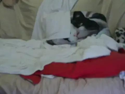 VeneRed on StripChat 